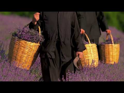 Organic Herbs of the Holy Great Monastery of Vatopedi