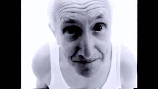 Robyn Hitchcock &amp; The Egyptians - Madonna Of The Wasps