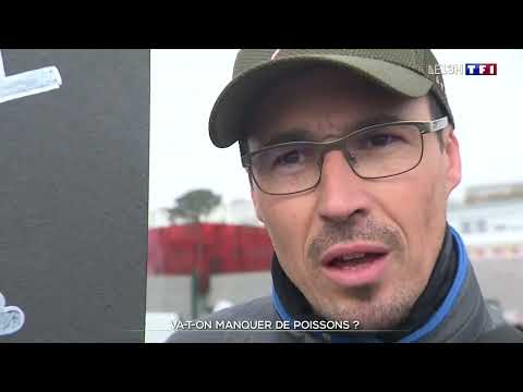 va t'on manquer de poisson , un pêcheur de Plougasnou témoigne