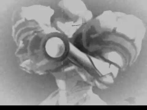 Super Metroid Metal - Boss Medley