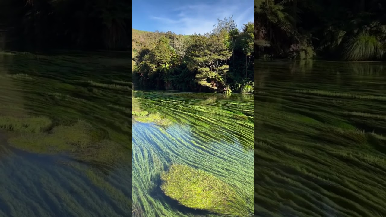 YouTube Short thumbnail