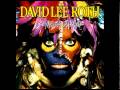 David Lee Roth - Loco Del Calor