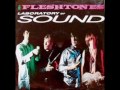 Fleshtones - Hold You