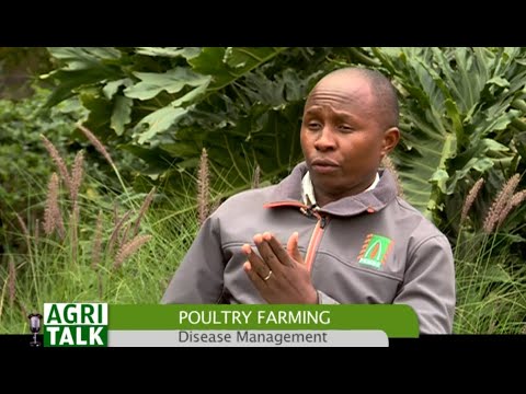 , title : 'Factors to consider when setting up a Poultry farming business - Part 1'