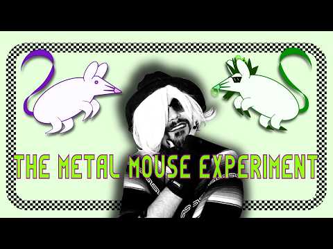 The Heavy Metal Mouse Experiment