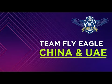 MBZIRC TEAM PROFILE TEAM FLY EAGLE