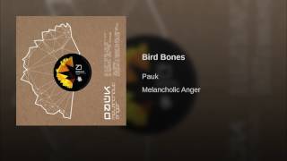Bird Bones