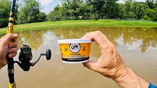 Old School Worm Fishing: How to Catch Big Fish with Night Crawlers