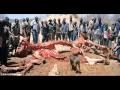 Starving African eat Elephant and strip it to the bone ...