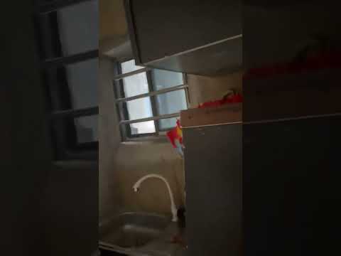 Newly Built Room Self-Contain – Shomolu