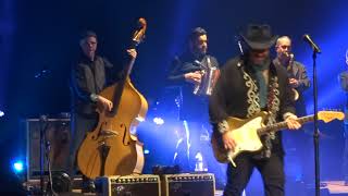 The Mavericks, &quot;You Never Can Tell&quot;