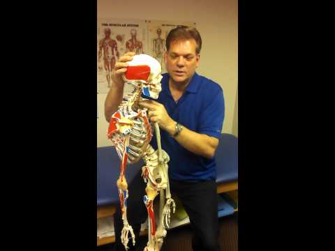 CAN Temporal Mandibular Joint TMJ" DISOREDER BE  CORRECTED ?