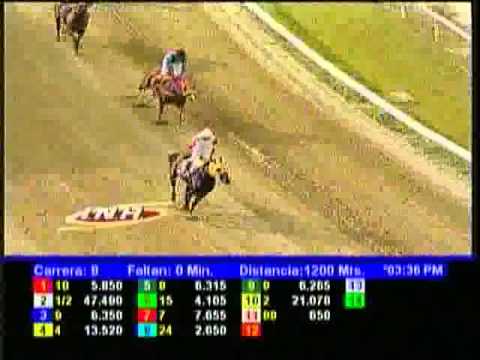 Resumen Sábado, 01 de Febrero de 2014 - La Rinconada