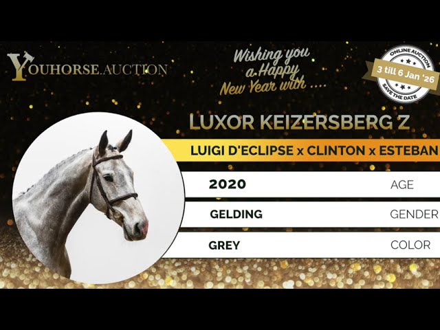 Luxor Keizersberg showvideo