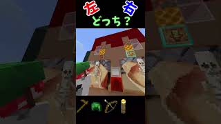右左どっち？選んだ装備でウィザー討伐 【マイクラ/あるむ編】