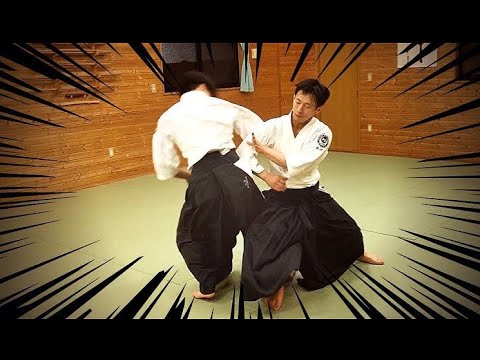 Aikido Highlight   Shirakawa Ryuji sensei