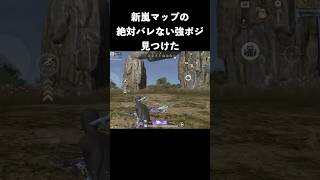 ここマジで強い強ポジ　#荒野行動