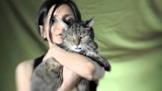 "The Dividing" kickstarter video outtakes