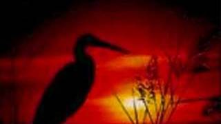 Angela by Jose Feliciano