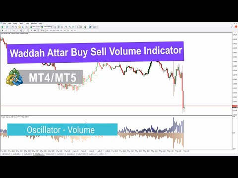 Video Waddah Attar Buy Sell Volume Indicator MT4