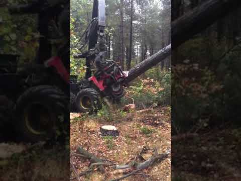 Houtoogstmachines - Video 3