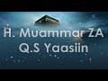 Qori Merdu H Muammar ZA Q S Yaasiin Jernih Tanpa Saritilawah