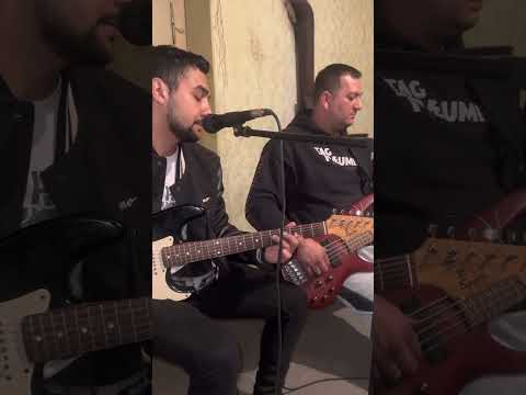 šunen romale Gipsy Alesis 2023