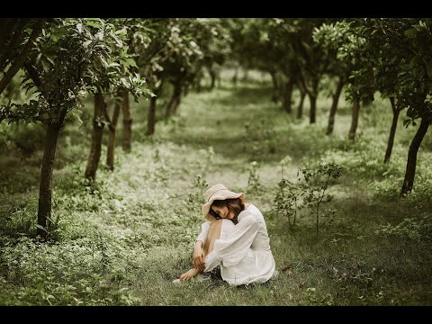 Ngỡ quên tình đầu - Cẩm Ly