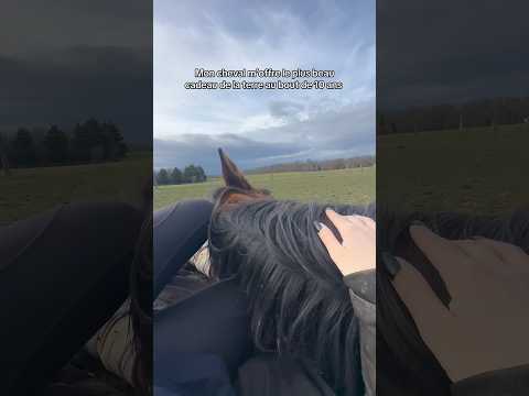 je mourrai en paix 🤍 #cheval #amour #pourtoi #equitation