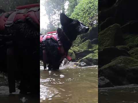 Descubre y viaja a Florian Santander toda una maravilla natural 🌿💦🔥