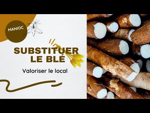 , title : 'Comment faire du pain avec du manioc'