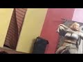 Boobs Show Mujra