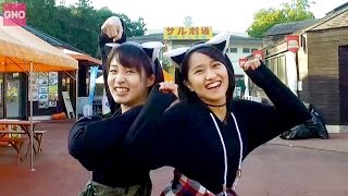 GirlsNightOut#43こぶし藤井・田口秋の那須散策後編!、アボカドの種茶、吉川&岡田のじゃこの有馬煮作り!他