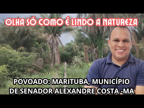 A BELEZA DO MARANHÃO ( POVOADO MARITUBA) MUNICÍPIO DE SENADOR ALEXANDRE COSTA.