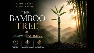 🌱 The Bamboo Tree Story: A Powerful Lesson in Patience and Success | Motivational Story