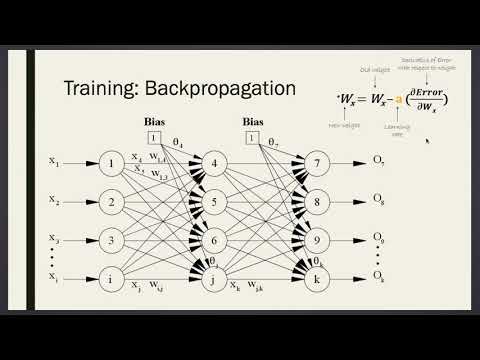 EE545 (Week 6) More on Quantization and Quantization Aware Training (Part V)
