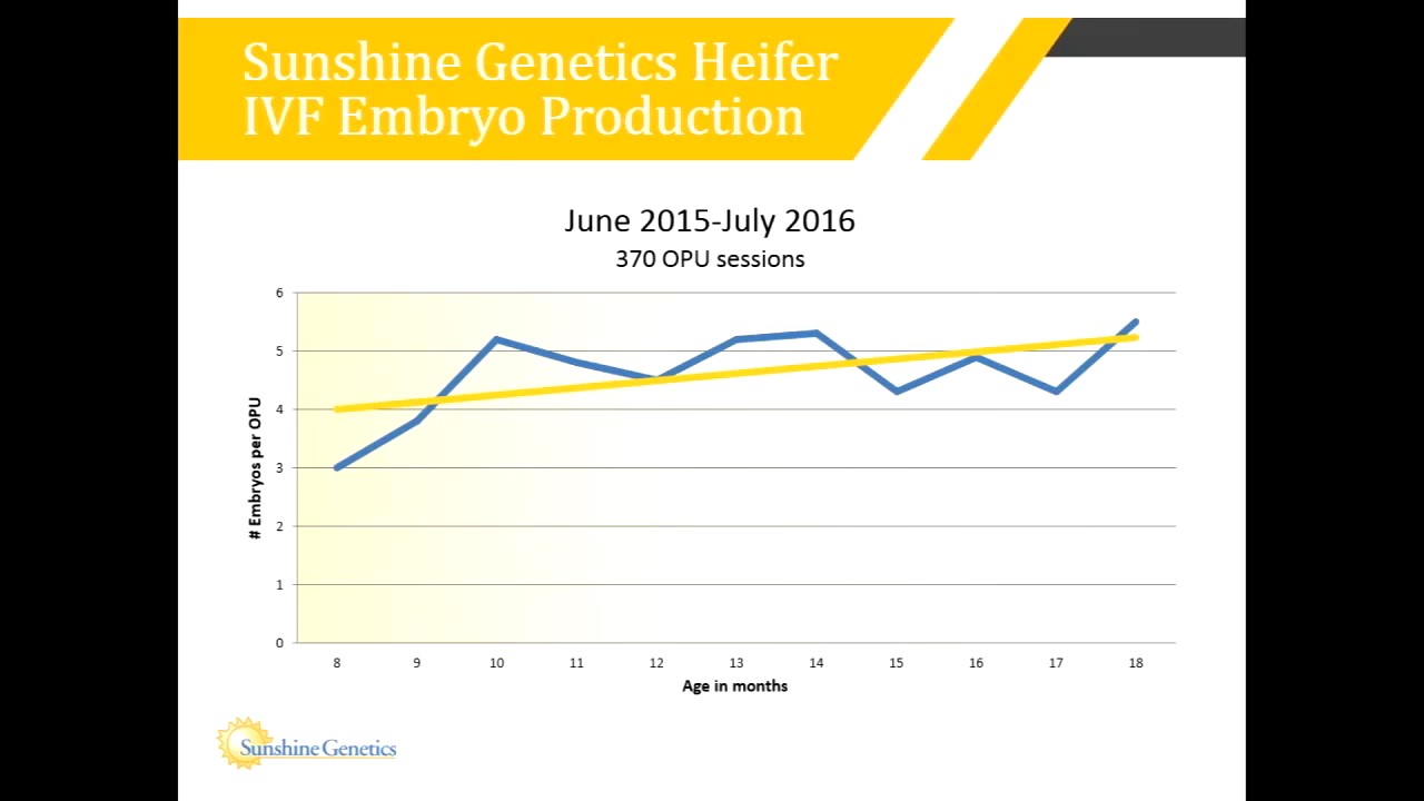 IVF Embryo Production