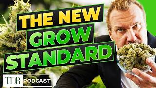 The Metrics That Will Define Cannabis in 2026 | TDR Cannabis in 5