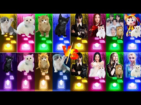 📹 ALL CUTE CATS PT.5 - IMAGINE DRAGONS ENEMY - JISOO FLOWER   SHAKIRA WAKA WAKA - LISA MONEY