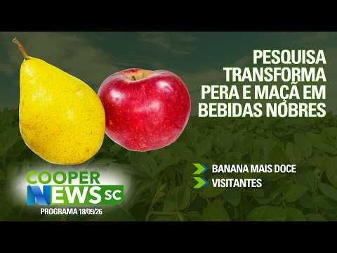 Banana de Corupá, fertilizantes urbanos e pesquisa da Epagri | Cooper News SC