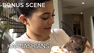 KUWTK | Kris Jenner Gets Kylie a Pig! | E!
