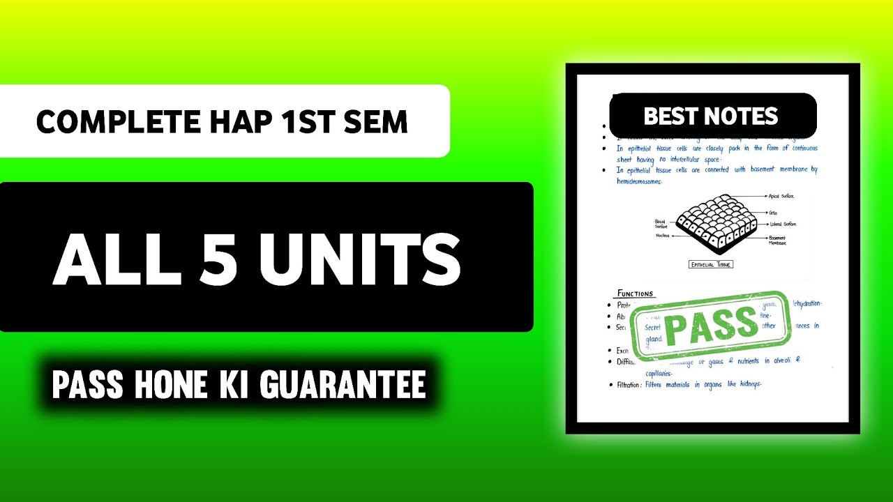 Human Anatomy & Physiology (HAP) All 5 Units Important Questions Solution | B Pharm 1st Semester 