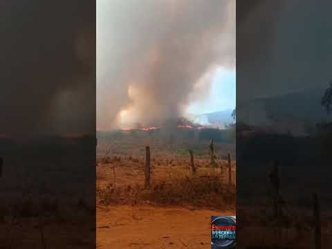 Se registra gran incendio forestal en Urumaco estado Falcón