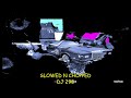 BIGXTHAPLUG TEXAS SLOWED N CHOPPED DJ 290