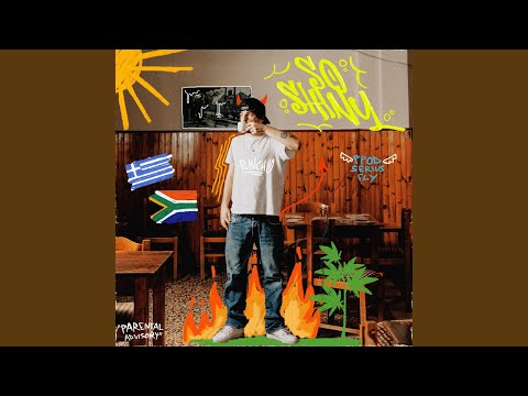 So Shiny (feat. Serius Fly)