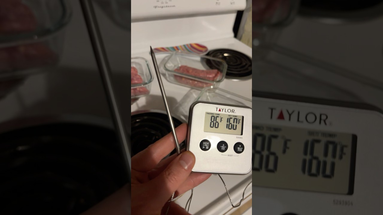 Trying Wired Meat Thermometer! 🌡️ 🥩 🤔