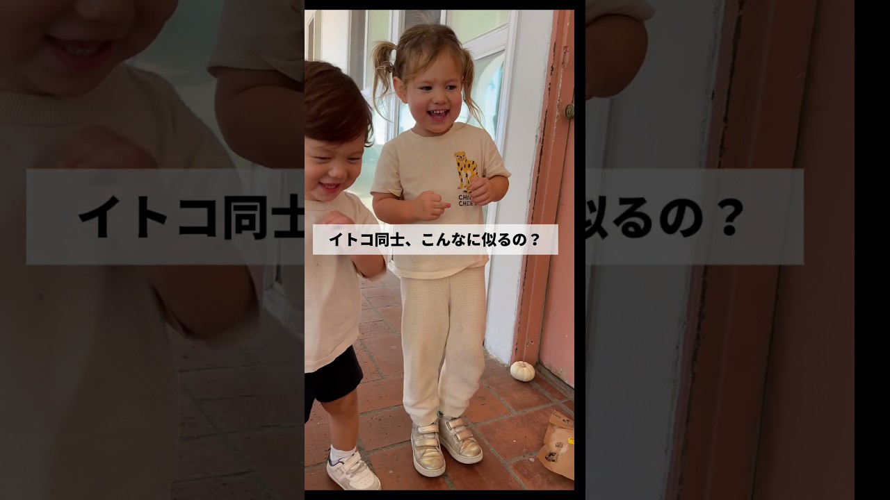 同じDNAすぎてwsrsytsw