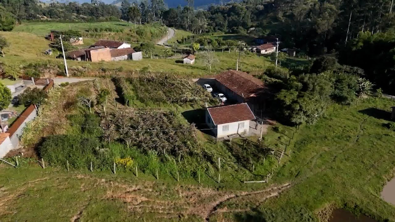 Diversificação de Culturas fortalece produção rural em Rio do Sul