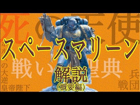 スペースマリーン兵器 (ウォーハンマー 40,000) - 定義
