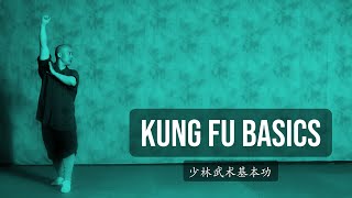 Kung Fu Foundation | Stabbing Palm with Jump Forwards | UK Shaolin | 前跃